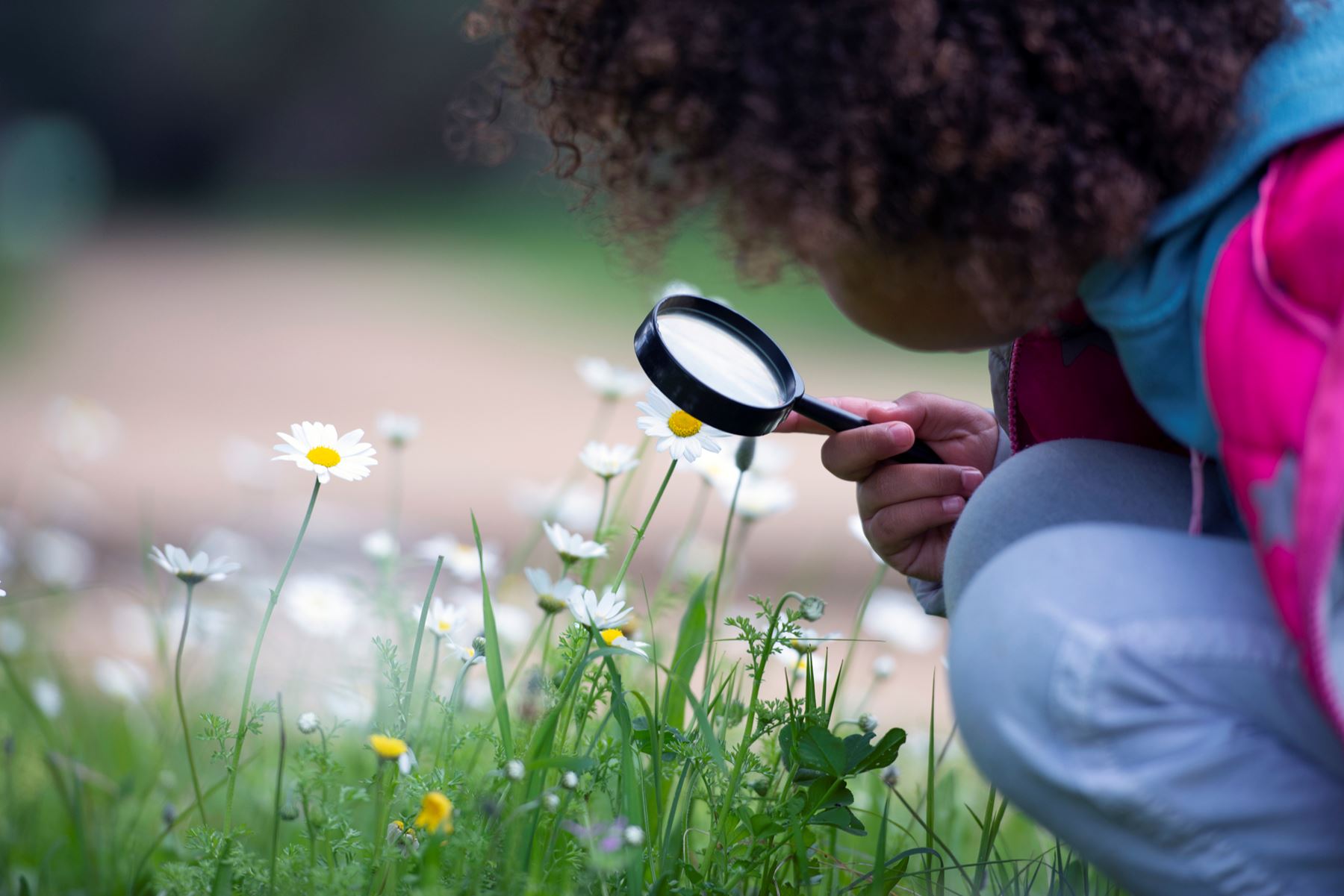 En flicka som håller upp ett förstoringsglas till vita blommor